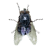 Kärbes